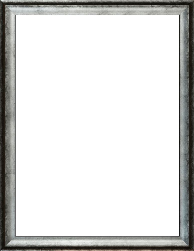 Athenian Distressed Silver Frame 30"X40"