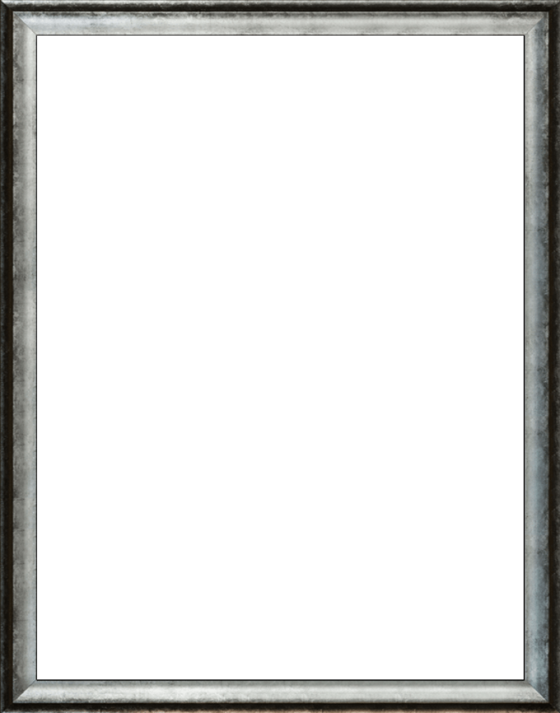 Athenian Distressed Silver Frame 36"x48"