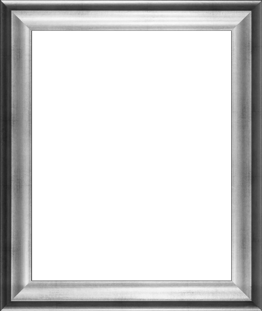 Athenian Silver Frame 16"X20"