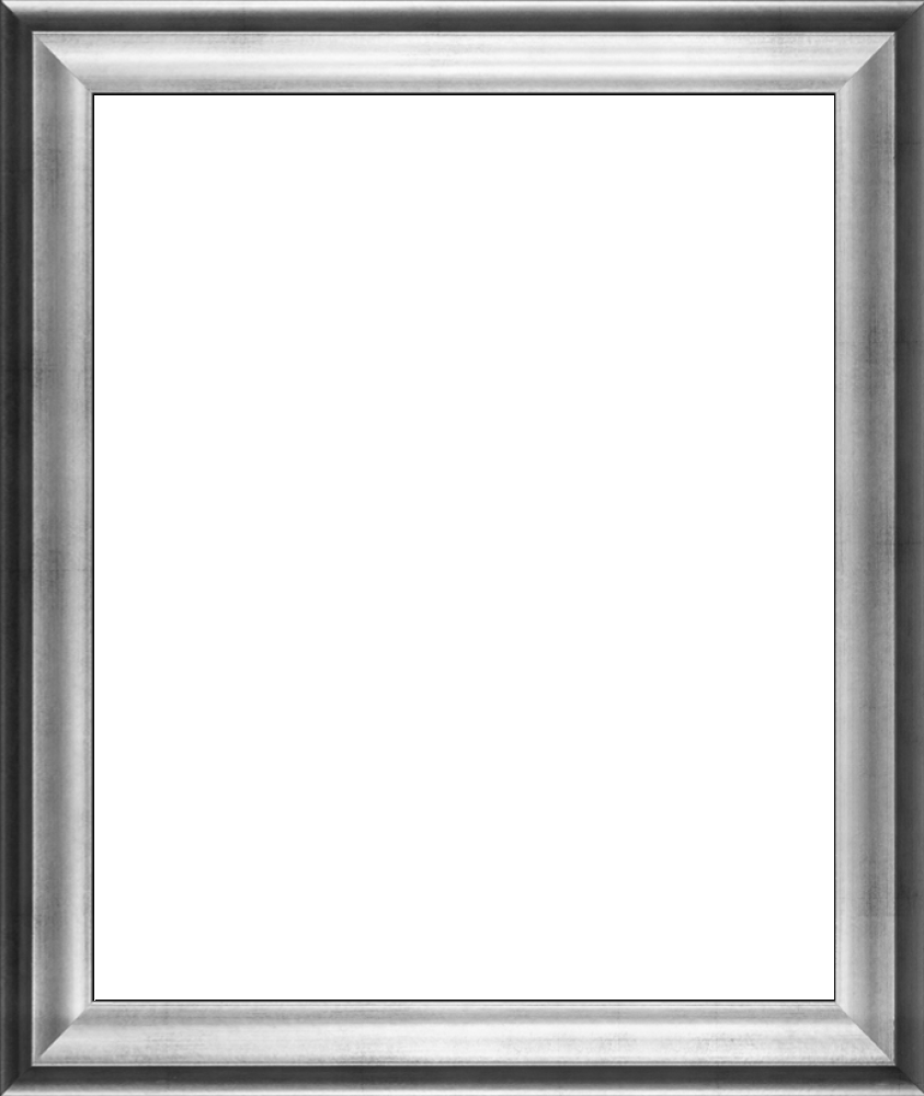 Athenian Silver Frame 20"X24"
