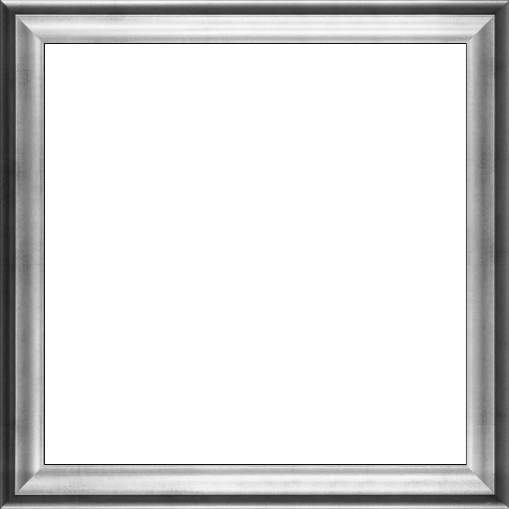 Athenian Silver Frame 24"X24"