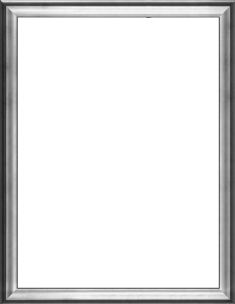 Athenian Silver Frame 30"X40"