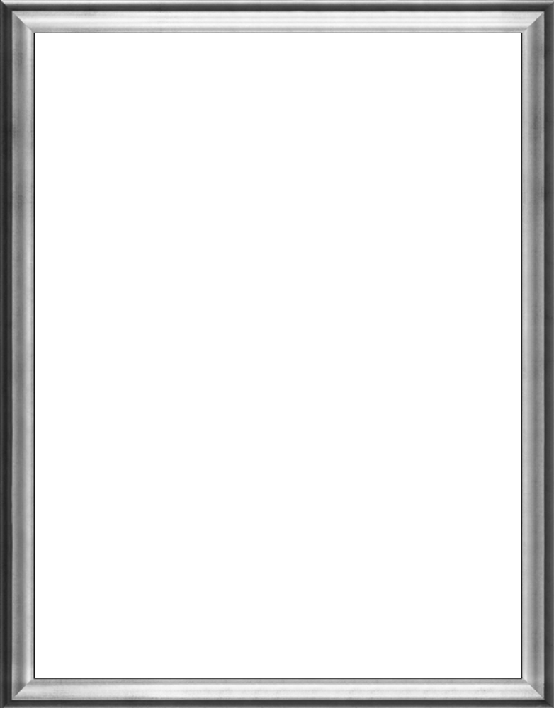 Athenian Silver Frame 36"X48"