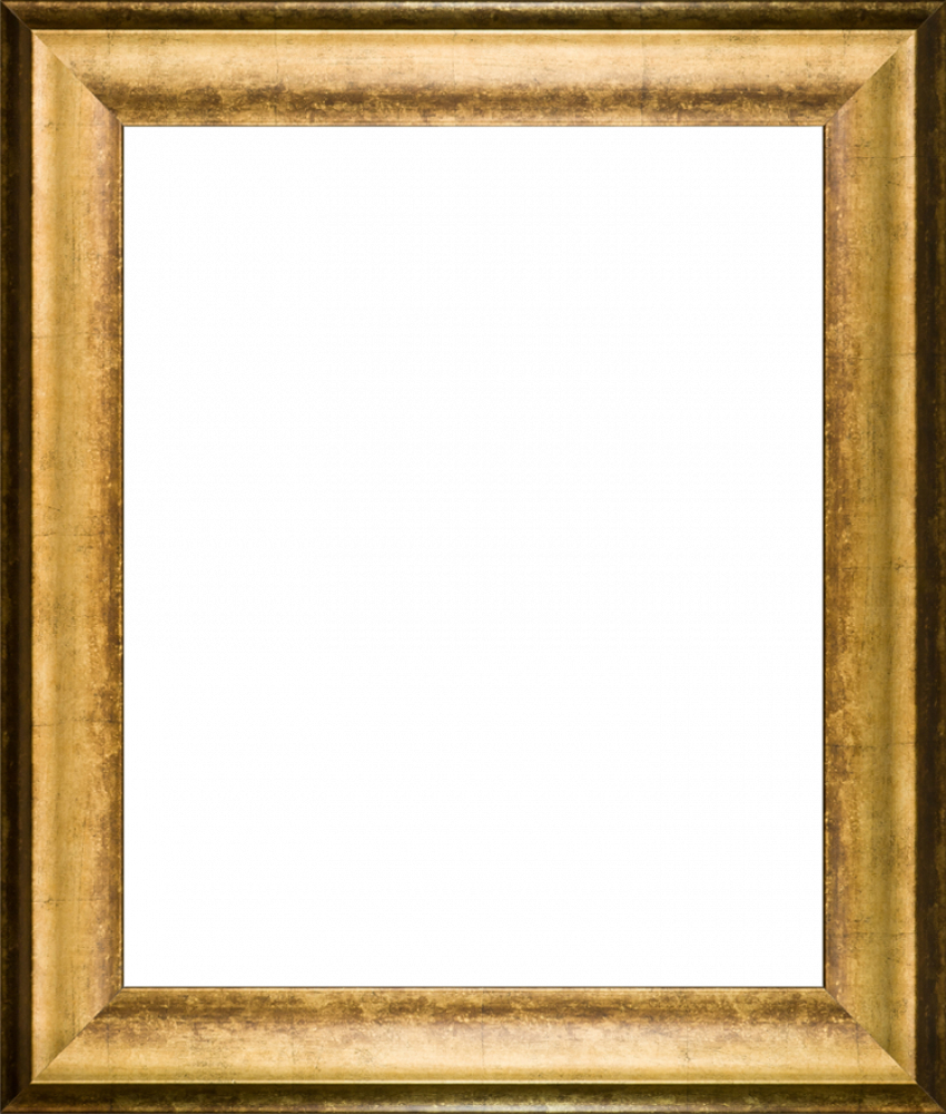 Athenian Gold King Frame 20"X24"