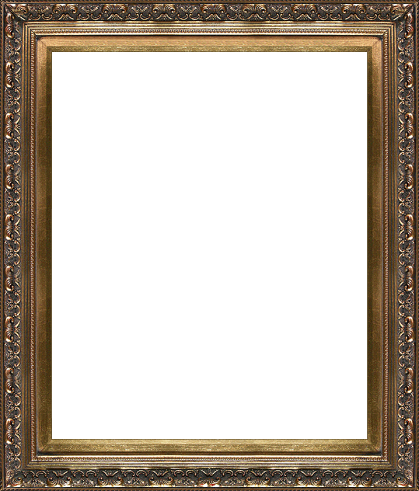 Baroque Antique Gold Frame 20"X24"