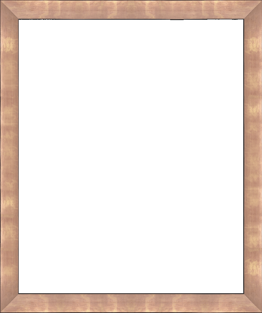 Blushing Rose Gold Frame 20" X 24"