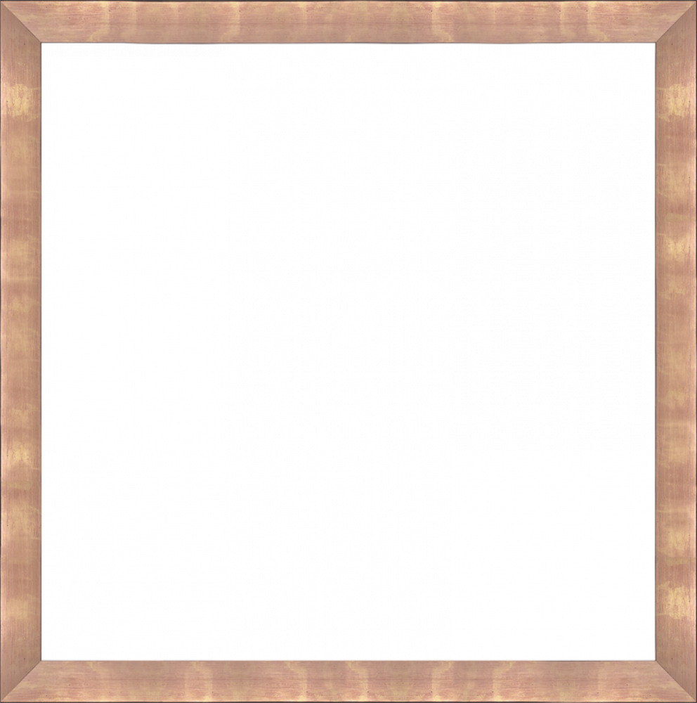 Blushing Rose Gold Frame 24" X 24"