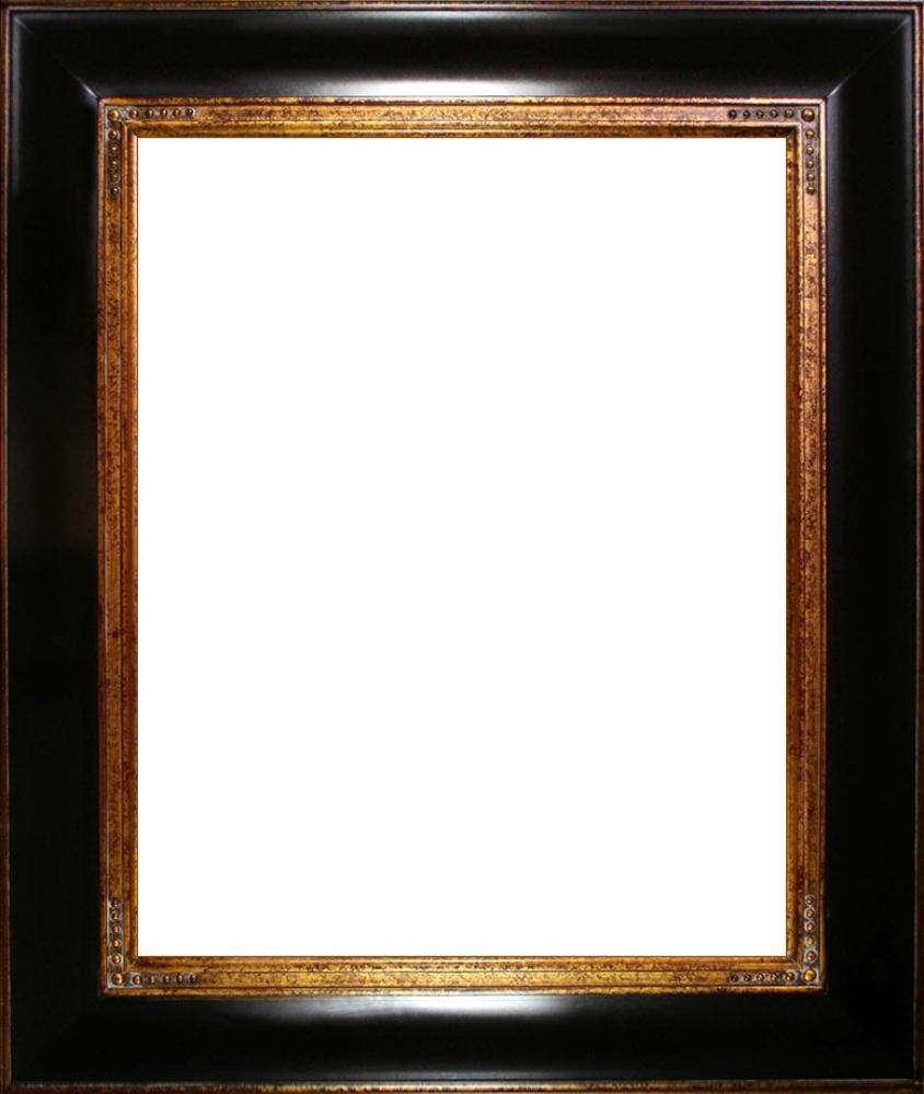 Opulent Frame 16"X20"