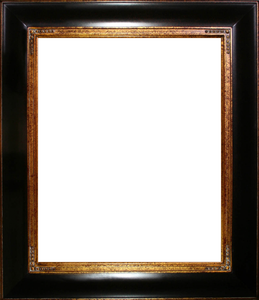 Opulent Frame 20"X24"