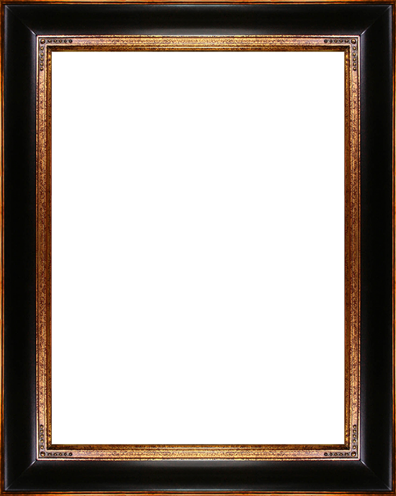 Opulent Frame 30"X40"