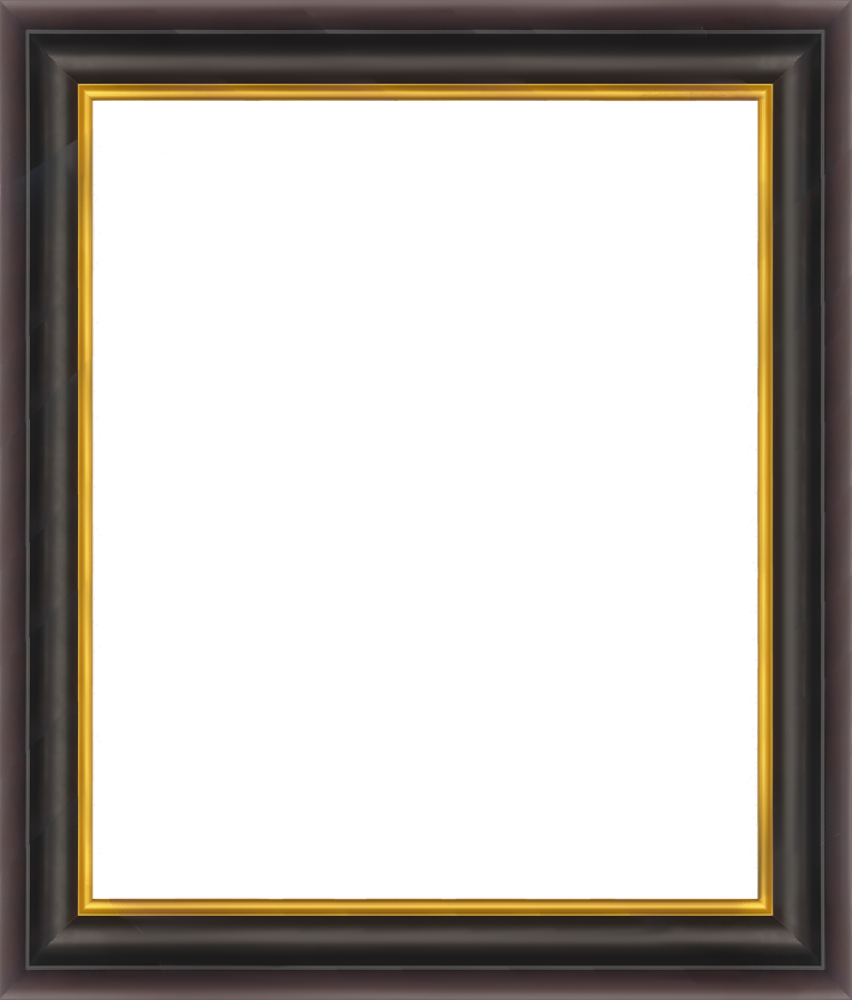 Opulent Frame 20"X24"