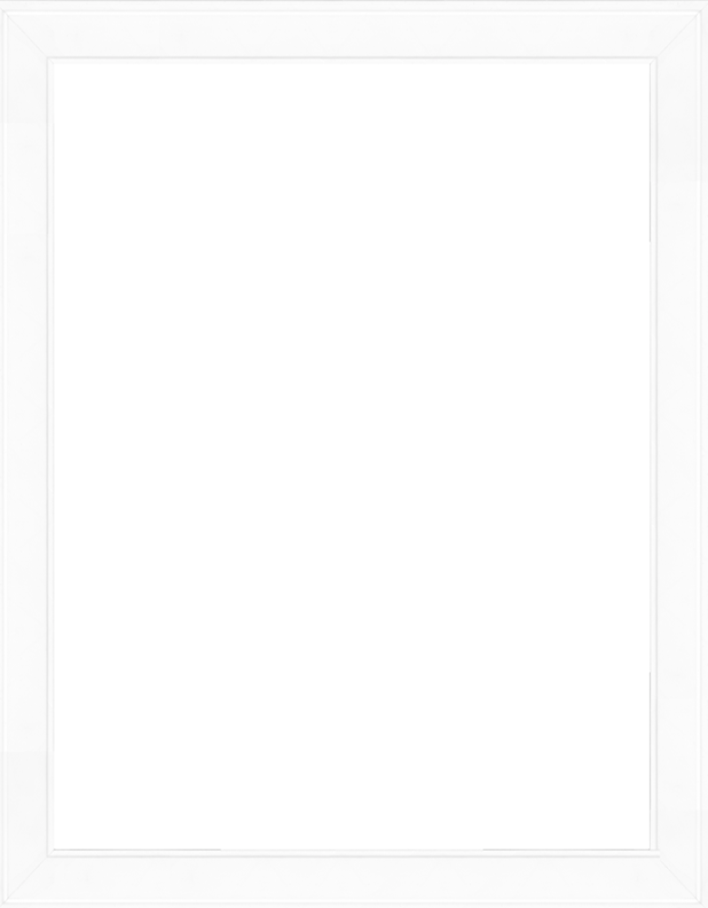 Galerie White 36X48