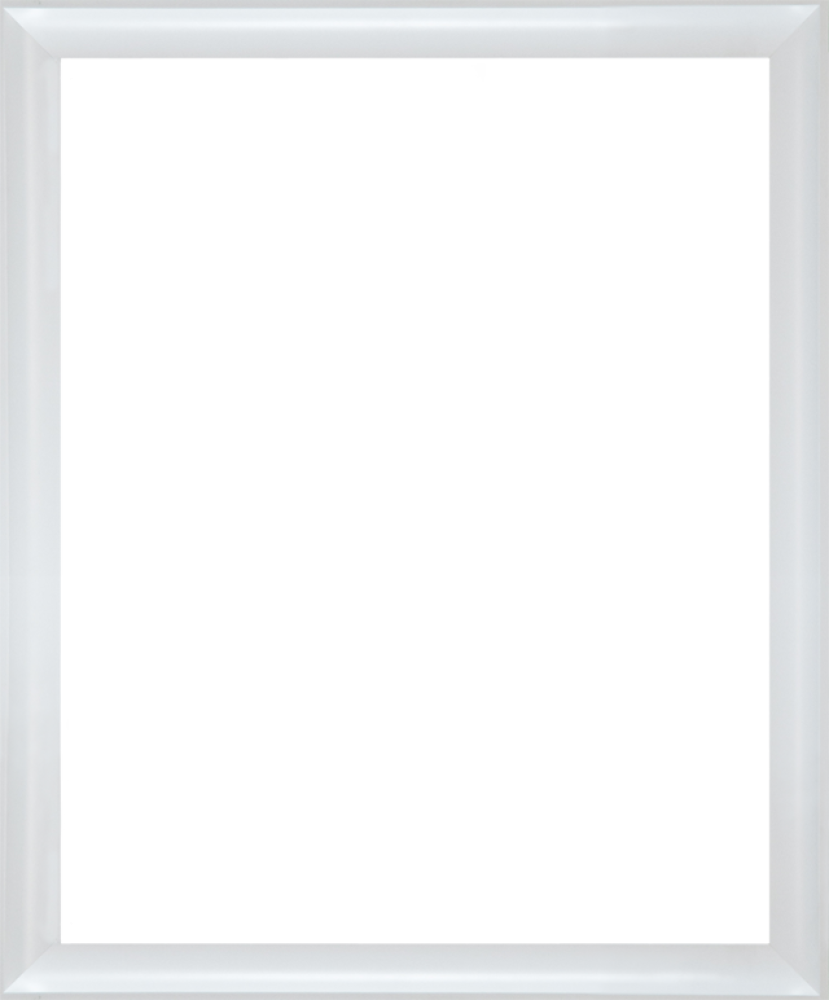 Moderne Blanc Frame 16" X 20"