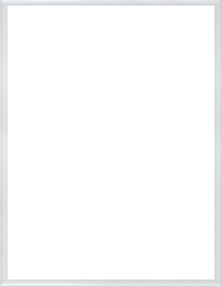 Moderne Blanc Frame 36" X 48"