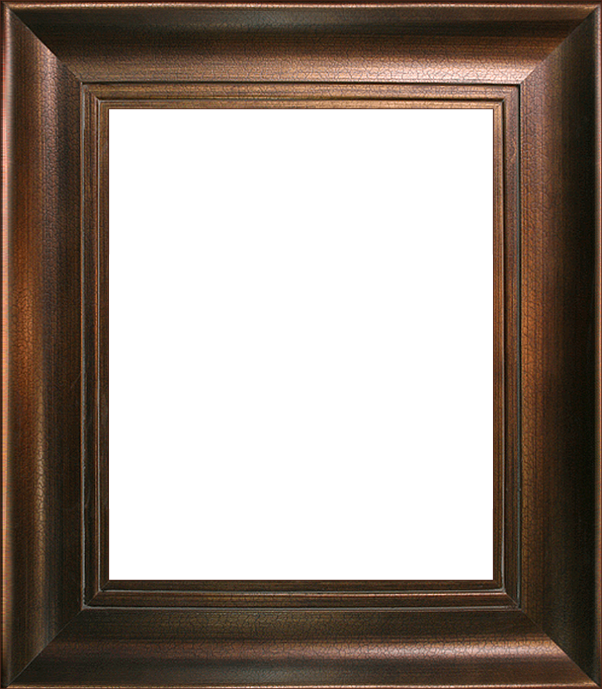 Da Vinci Aged Auburn Frame 20"X24"
