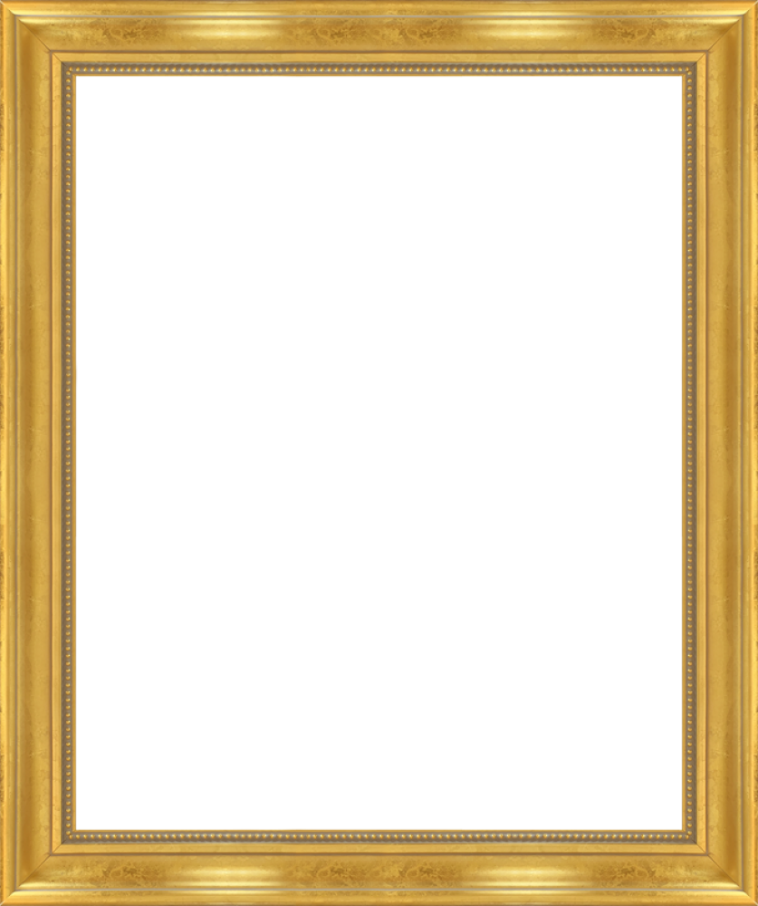 Milan Gold Frame 16" X 20"