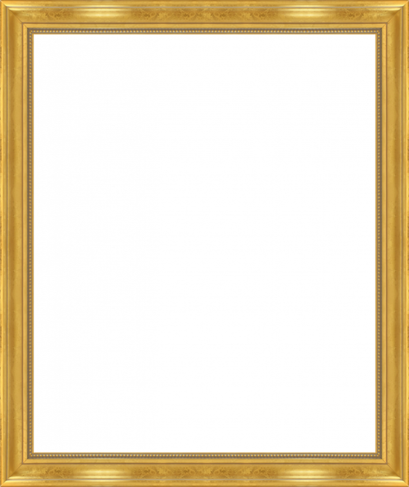 Milan Gold Frame 20" X 24"