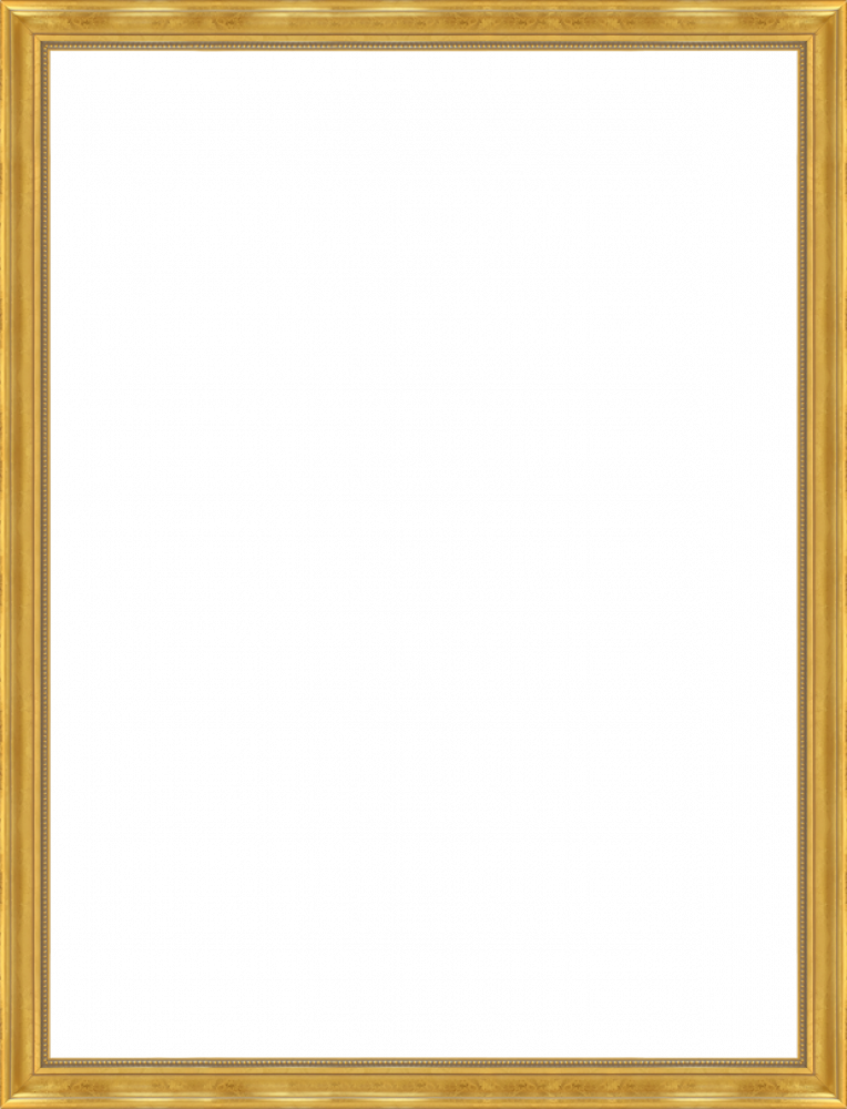 Milan Gold Frame 30" X 40"