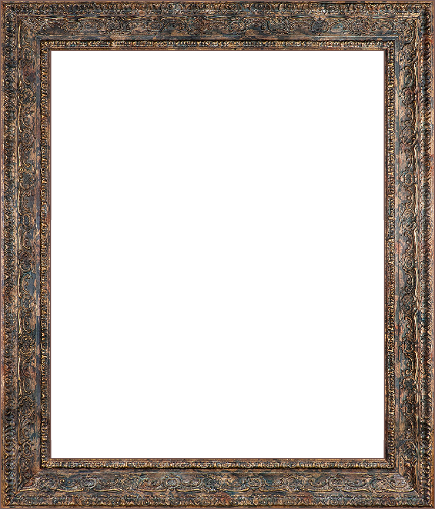 Parisian Tortoise Frame 20