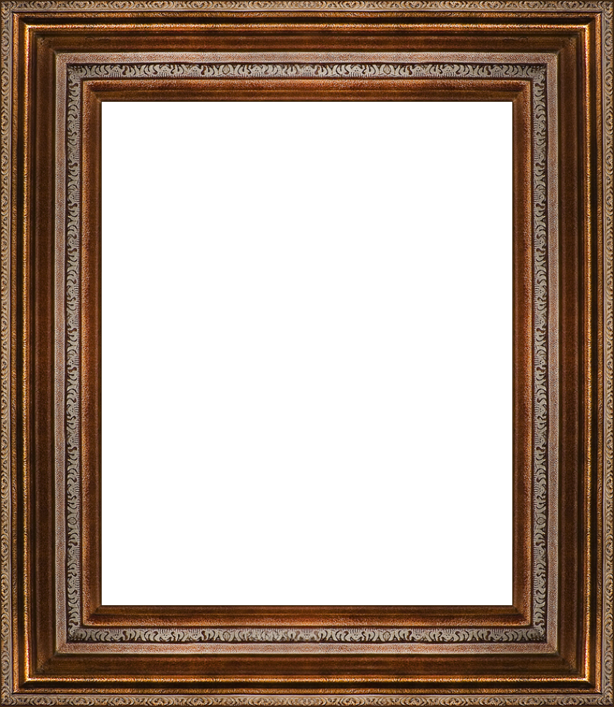 Mediterranean Bronze Frame 20"X24"
