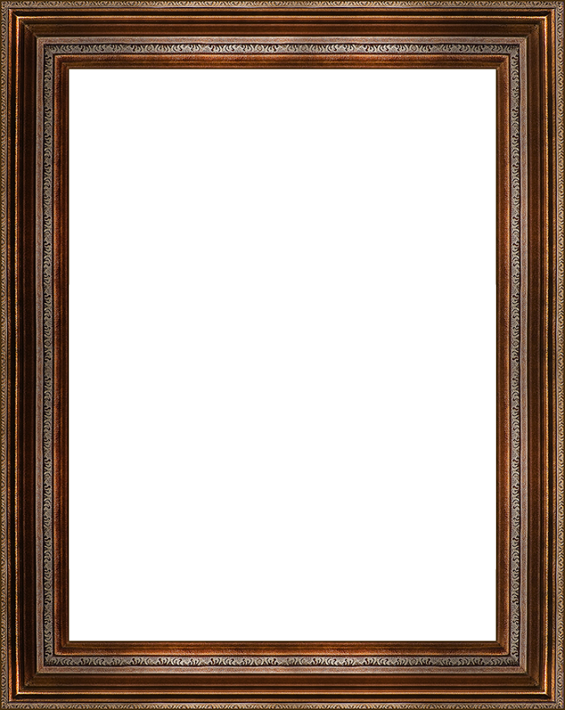 Mediterranean Bronze Frame 30"X40"