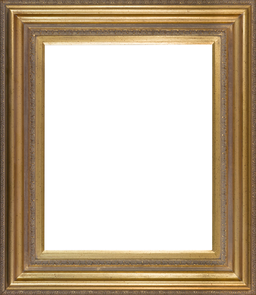 Mediterranean Gold Frame 20"X24"