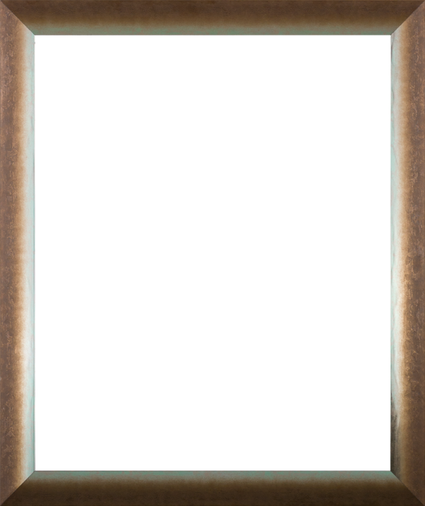 Spoleto Bronze 20" X 24"