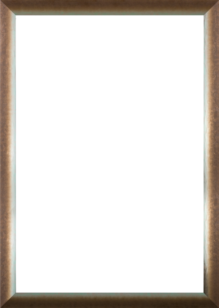 Spoleto Bronze 24" X 36"