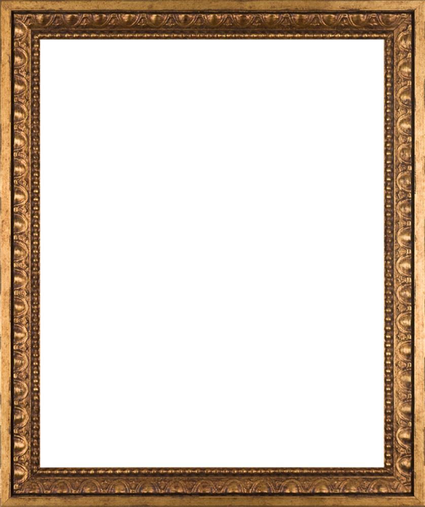 Versailles Gold Frame 16" X 20"