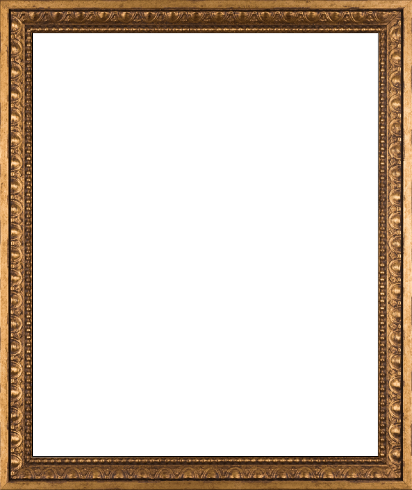 Versailles Gold Frame 20" X 24"
