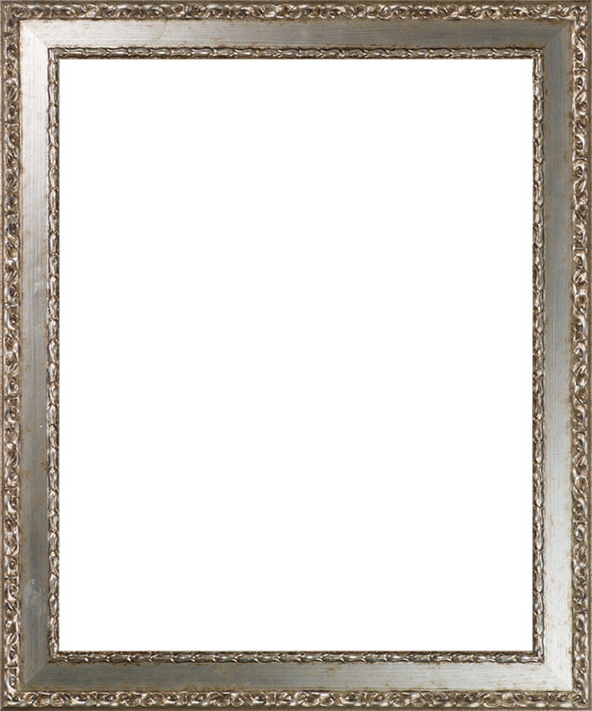 Versailles Silver Salon Frame 16" X 20"