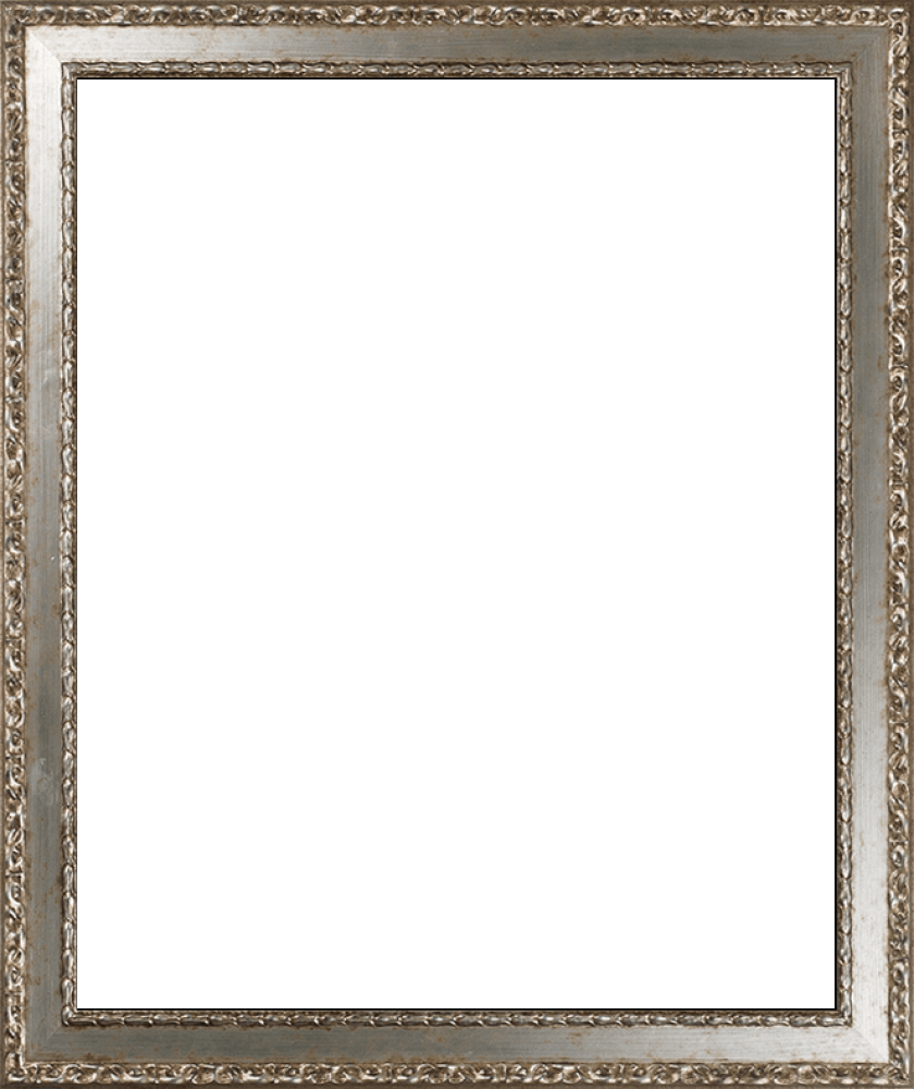 Versailles Silver Salon Frame 20" X 24"
