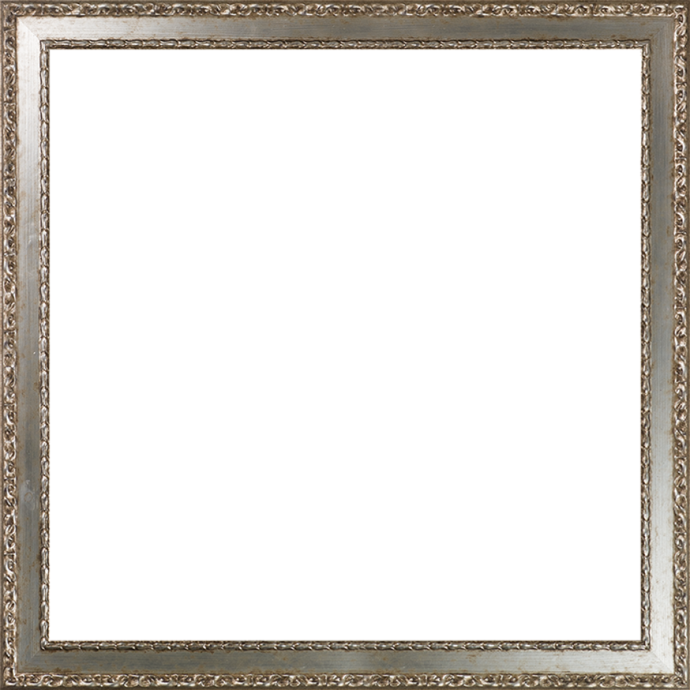 Versailles Silver Salon Frame 24"X24"
