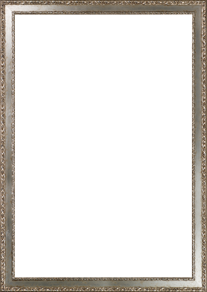 Versailles Silver Salon Frame 24" X 36"