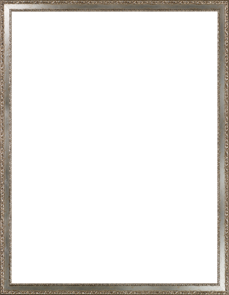 Versailles Silver Salon Frame 36"X48"