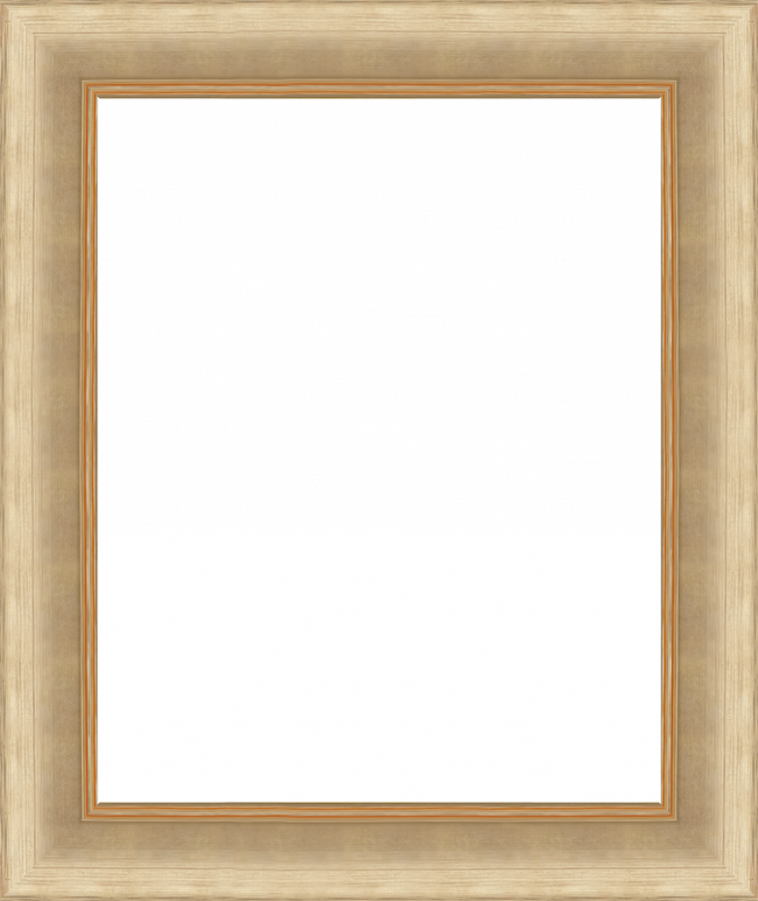Andover Champagne Frame 16" X 20"