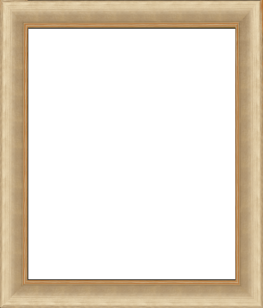 Andover Champagne Frame 20" X 24"