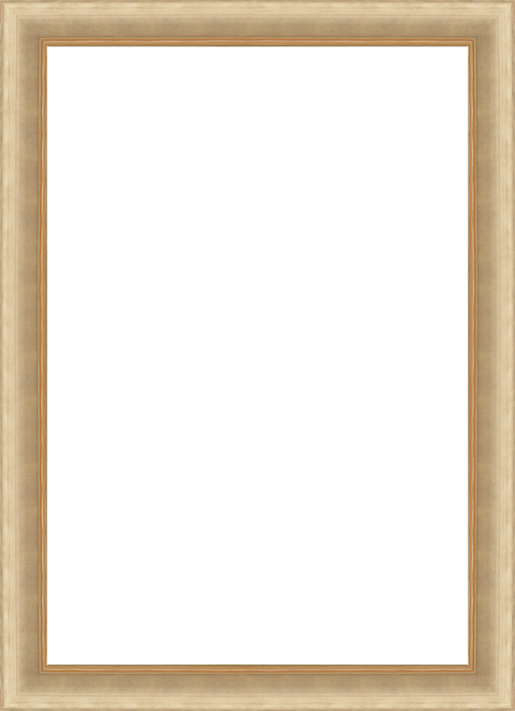 Andover Champagne Frame 24" X 36"