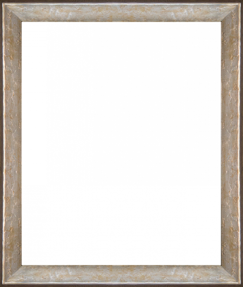 Silver Luna Frame 20"X24"