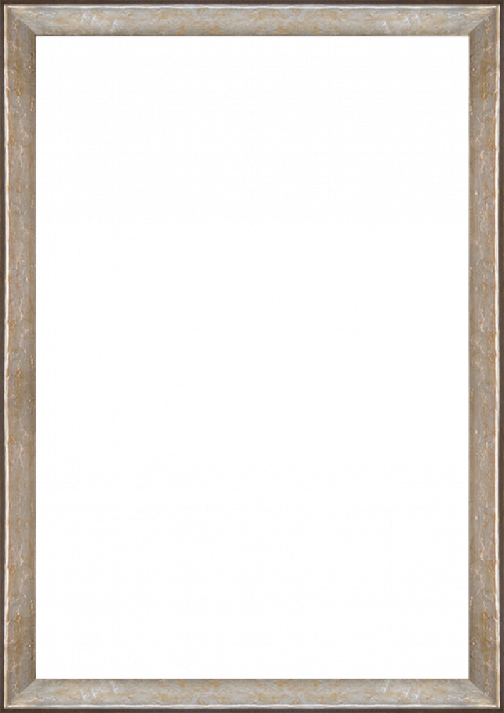 Silver Luna Frame 24"X36"