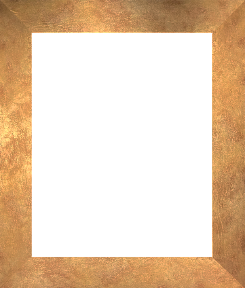 Florentine Gold Frame 16"X20"