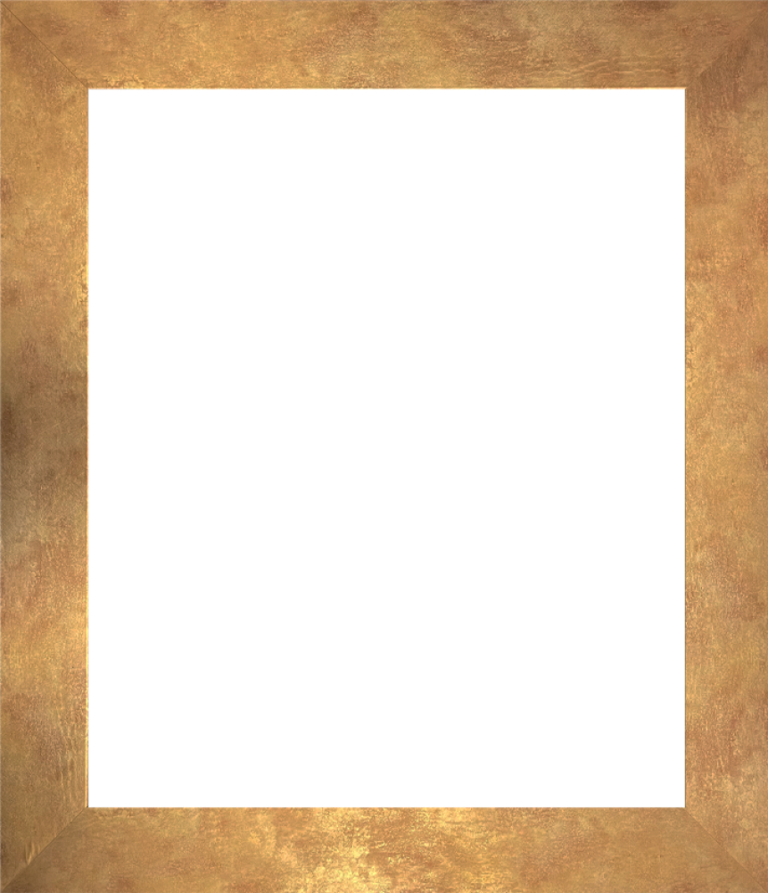 Florentine Gold Frame 20"X24"