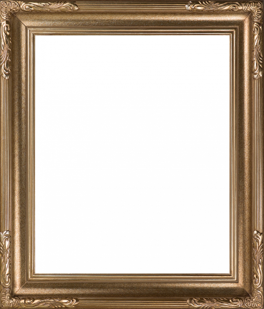Florentine Dark Champagne Frame 20"X24"