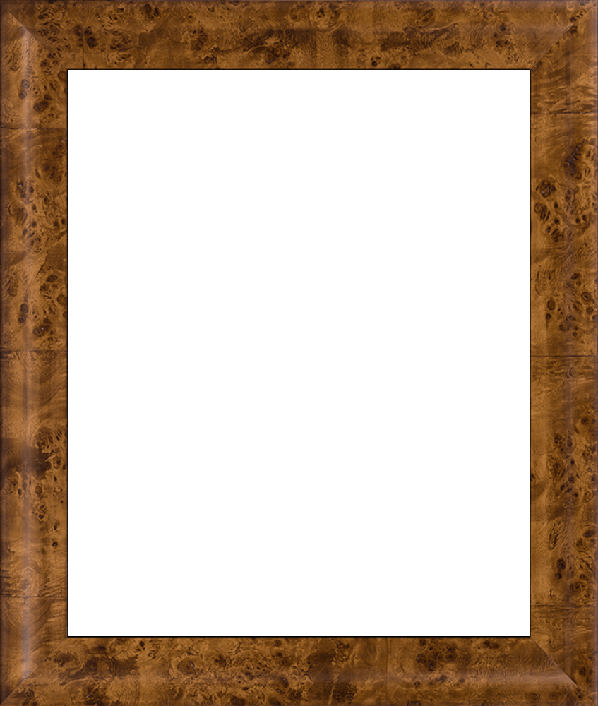 Havana Burl Frame 20" X 24"