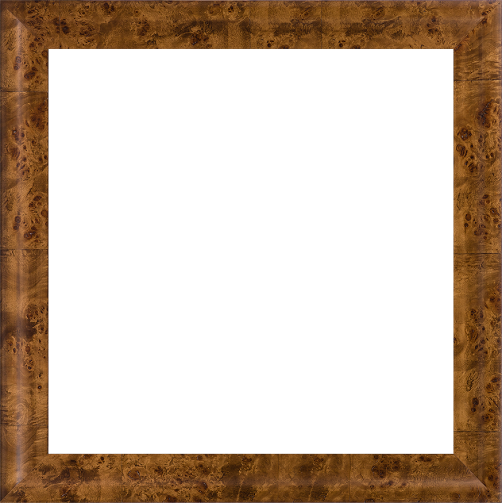 Havana Burl Frame 24" X 24"