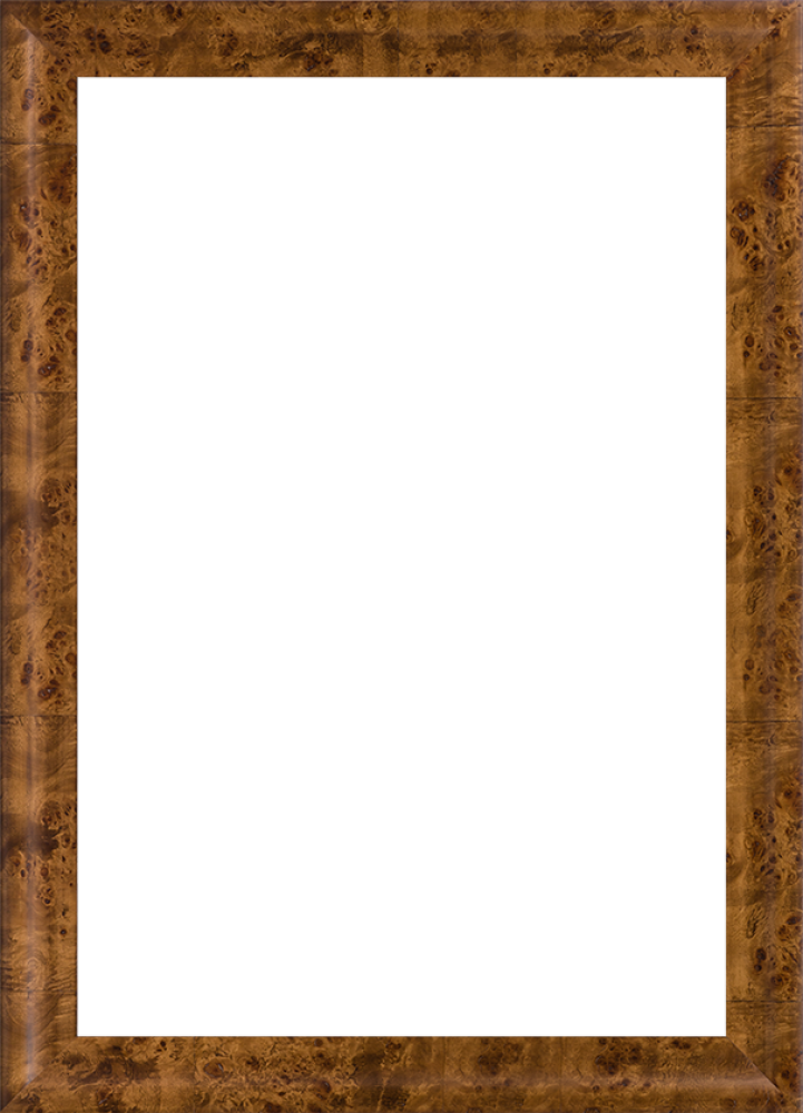 Havana Burl Frame 24" X 36"