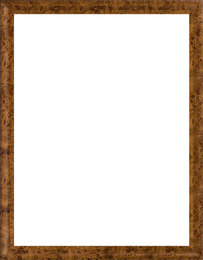 Havana Burl Frame 36" X 48"