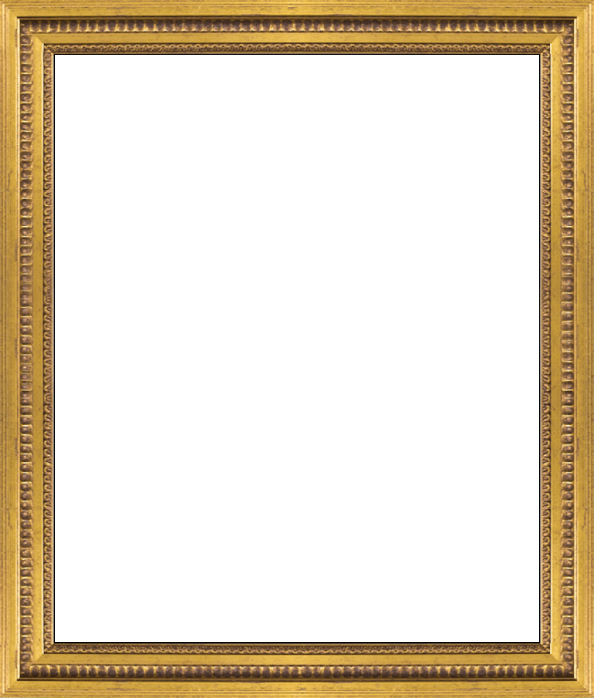 Versailles Gold Queen Frame 20" X 24"