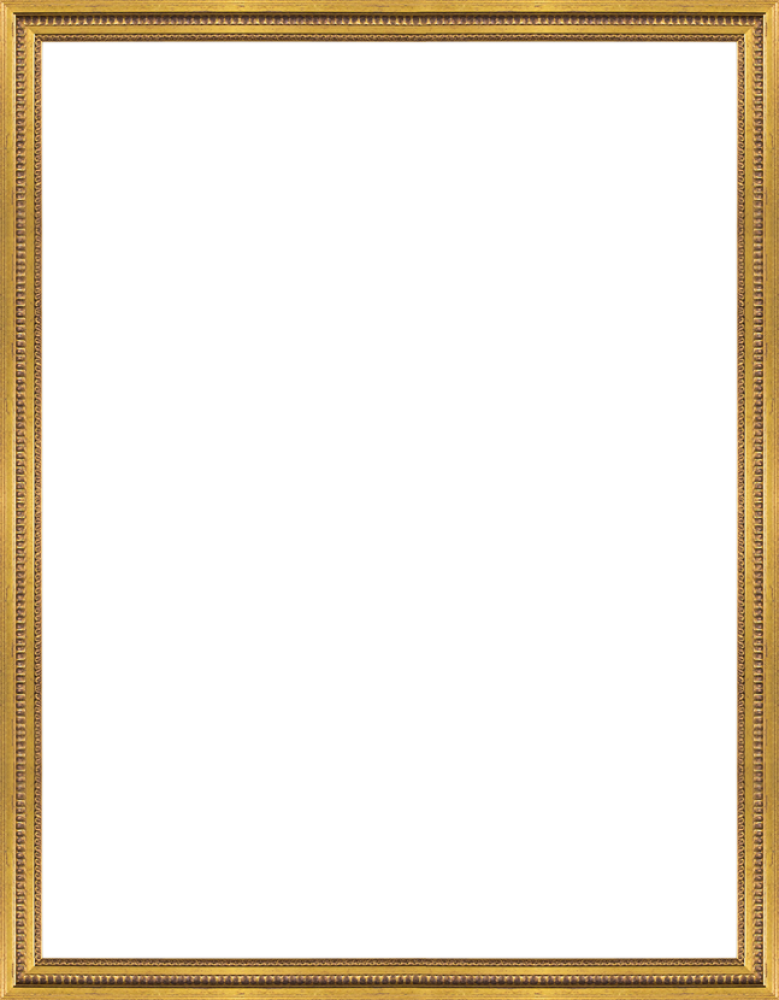 Versailles Gold Queen Frame 36" X 48"