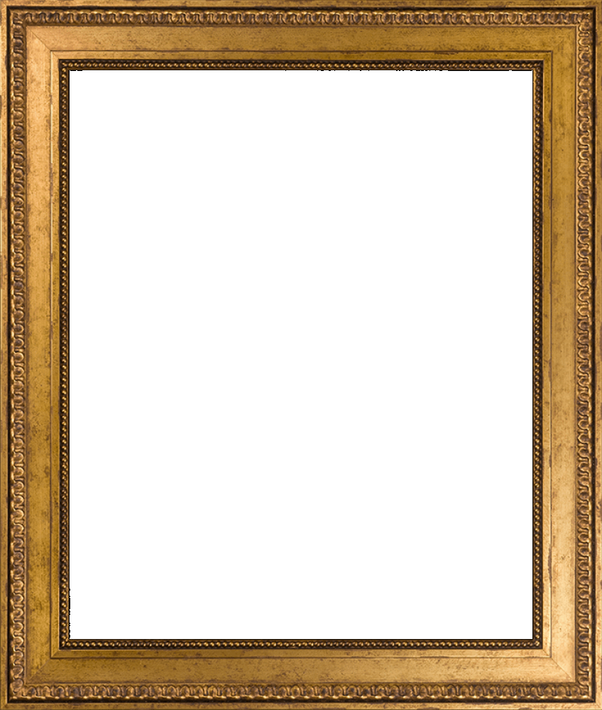 Versailles Gold King Frame 20" X 24"